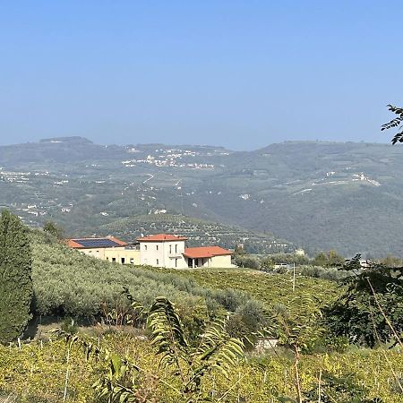 Suite La Torretta - Ca' Del Volo Grezzana Exterior foto